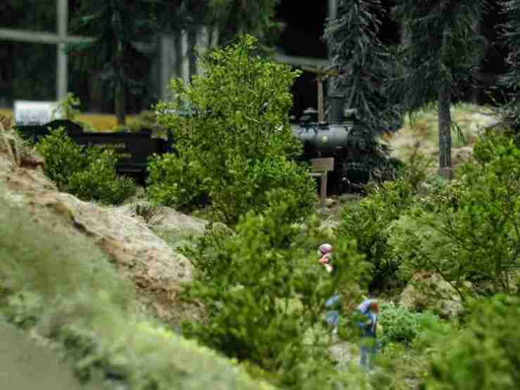 Peter's curve, walking