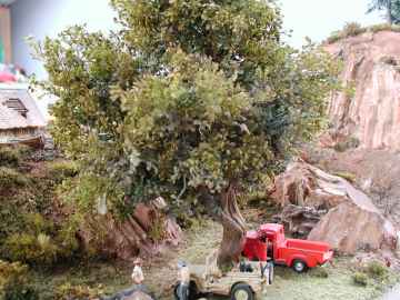 Peter's Kurve, ein Baum